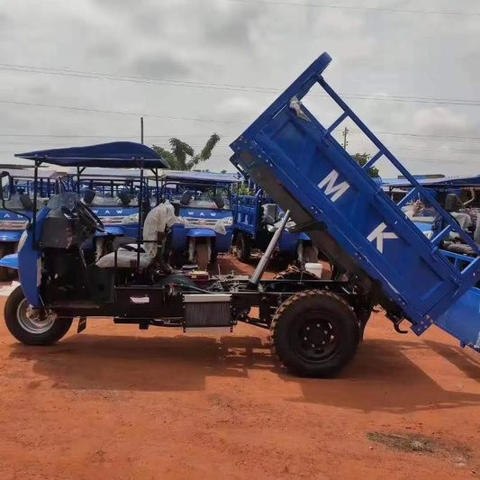 Tricycle Cargo WAW
